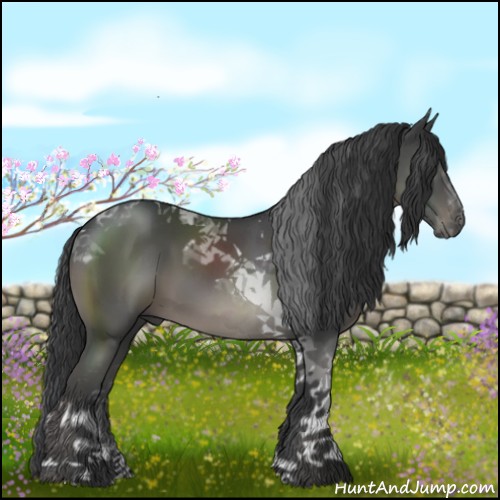 Horse Color:Black Tobiano 