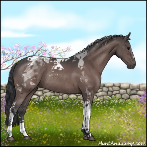 Horse Color:Platinum Brown Tobiano Rabicano 