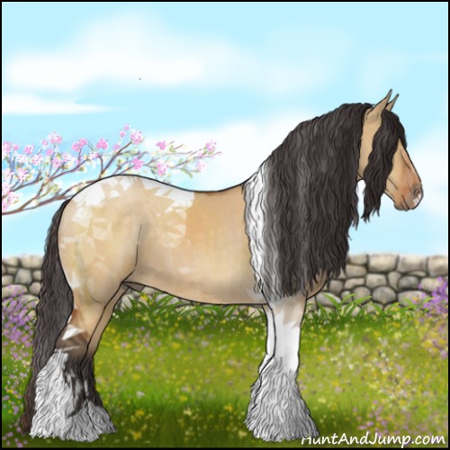 Horse Color:Buckskin Dun Tobiano 