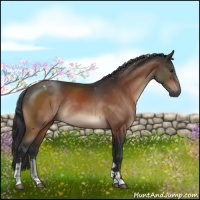 Horse Color:Brown Tobiano Rabicano 