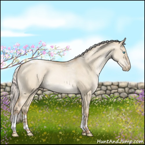 Horse Color:Silver Smoky Grullo Pearl Tobiano 