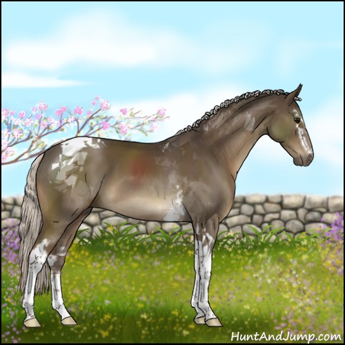 Horse Color:White Spotted Silver Smoky Black Tobiano 