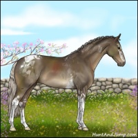 Horse Color:White Spotted Silver Smoky Black Tobiano 
