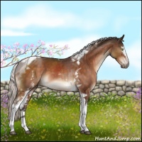 Horse Color:White Spotted Silver Brown Tobiano 
