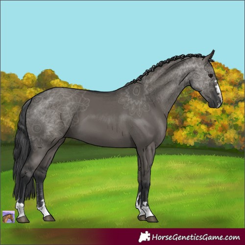 Horse Color:Grullo 