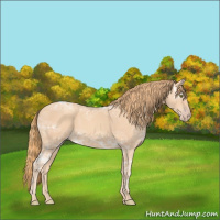 Horse Color:Gold Champagne Ice