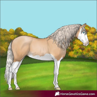 Horse Color:Palomino Pearl Splash
