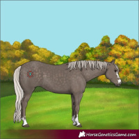 Horse Color:Silver Black 