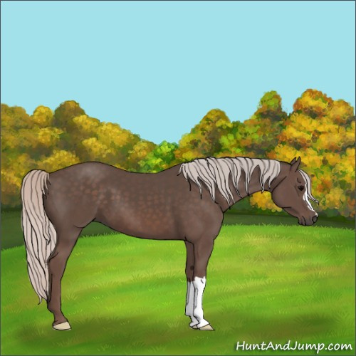 Horse Color:Silver Black
