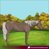 Horse Color:Silver Black 