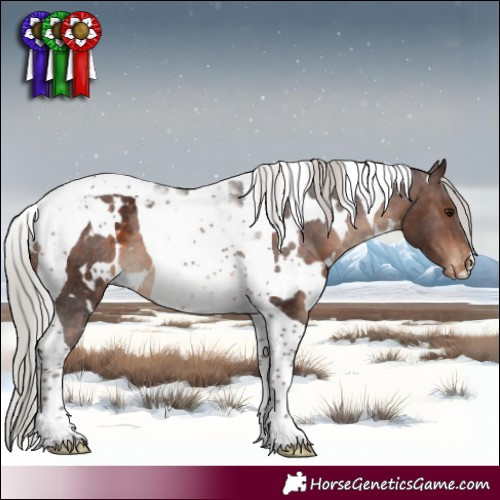 Horse Color:White Spotted Silver Bay Tobiano Blanket 