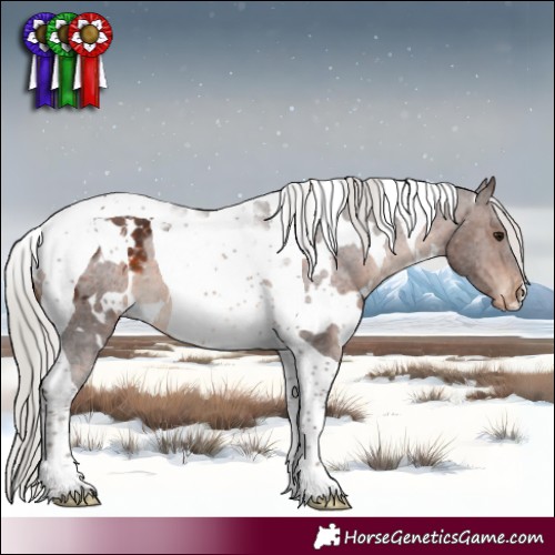 Horse Color:White Spotted Silver Bay Tobiano Appaloosa 