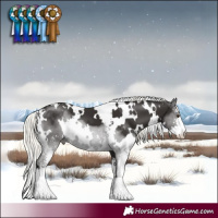 Horse Color:White Spotted Liver Chestnut Mushroom Sabino 