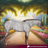 Horse Color:Liver Red Roan 