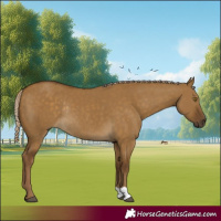 Horse Color:Chocolate Palomino Dun Rabicano 
