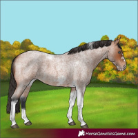 Horse Color:Bay Roan Tobiano Frame 