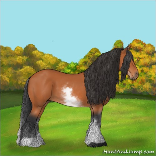 Horse Color:White Spotted Bay 