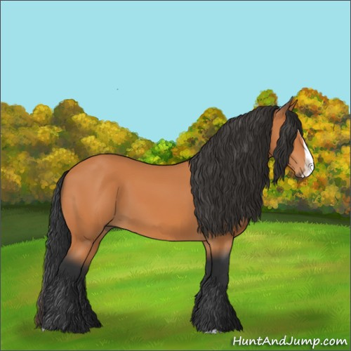 Horse Color:Bay Splash 