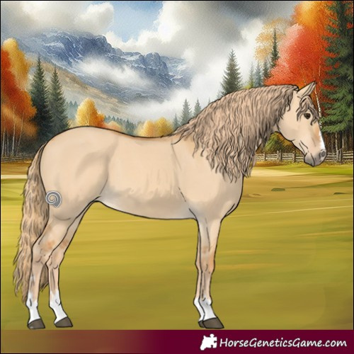 Horse Color:Red Dun