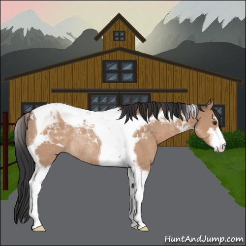 Horse Color:Brown Dun Sabino Tobiano Rabicano 
