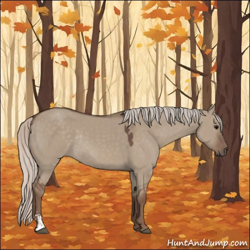 Horse Color:Silver Grullo Sabino Rabicano 