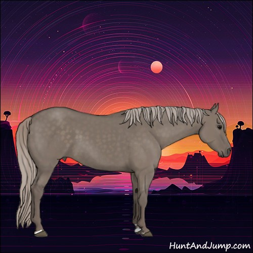 Horse Color:Silver Grullo Sabino 