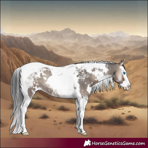 Horse Color:White Spotted Grullo Onyx Splash Tobiano Rabicano