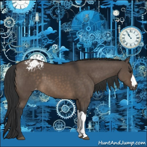 Horse Color:Brown Dun Appaloosa 