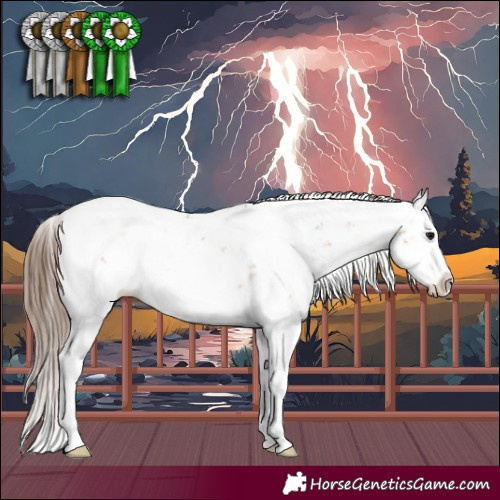 Horse Color:Bay Dun Sabino Splash Appaloosa Rabicano 