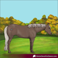 Horse Color:Silver Black 