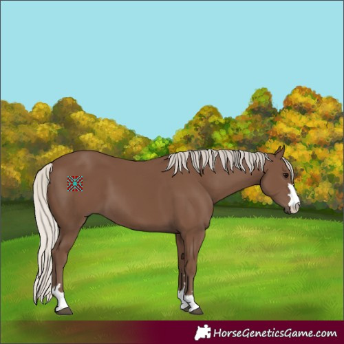 Horse Color:Silver Black