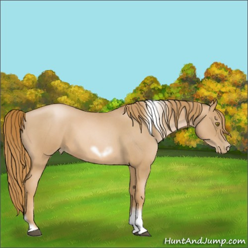 Horse Color:Red Roan Pearl Tobiano Frame 