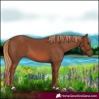 Horse Color:Chestnut 