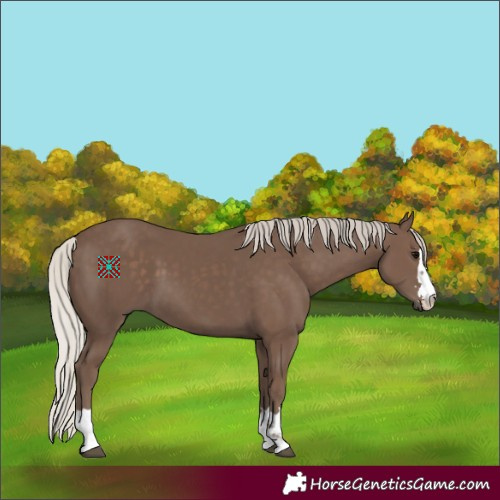 Horse Color:Silver Black