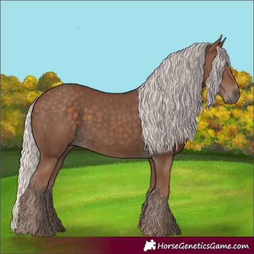 Horse Color:Silver Black Sabino