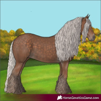 Horse Color:Silver Black Sabino 