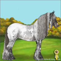 Horse Color:White Spotted Smoky Black Appaloosa