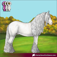Horse Color:White Spotted Silver Smoky Creme Dun Appaloosa 