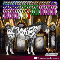 Horse Color:Black Sabino Near Leopard Rabicano 