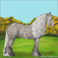 Horse Color:White Spotted Silver Smoky Grullo Sabino Appaloosa 