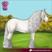 Horse Color:White Spotted Silver Smoky Grullo Pearl Sabino Appaloosa