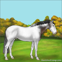 Horse Color:Brown Sabino Tobiano Frame 