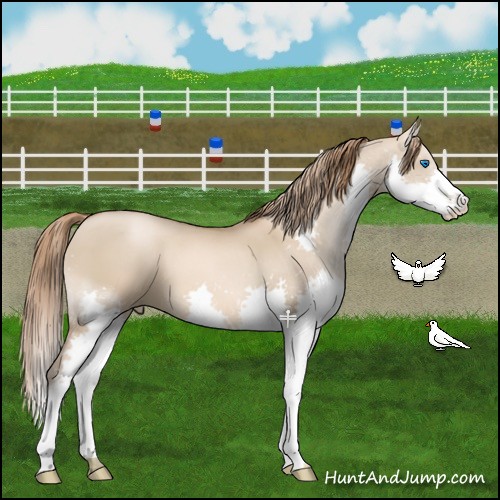 Horse Color:Liver Red Dun Pearl Splash 