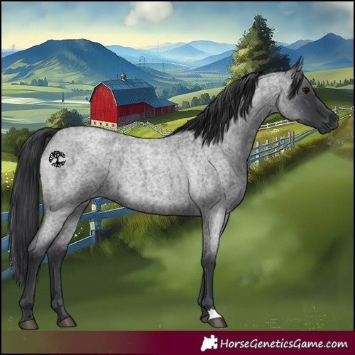 Horse Color:Blue Roan 