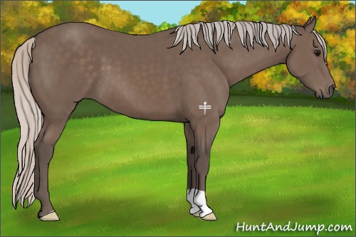 Horse Color:Silver Black 