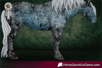 Horse Color:ERROR: UNKNOWN ANOMALY