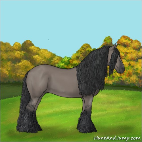 Horse Color:Unknown 