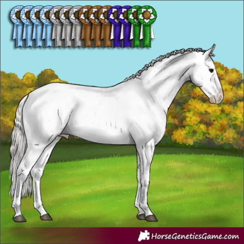 Horse Color:Silver Black Sabino Rabicano 