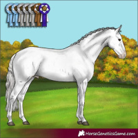 Horse Color:Silver Black Sabino Rabicano