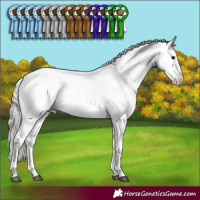 Horse Color:Silver Black Sabino Rabicano 